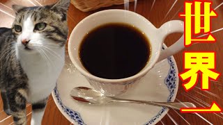 【コピ・ルアク】猫のウ○コから作られる世界一高額な珈琲を飲んで神のお告げを聞いた。【預言カフェ】