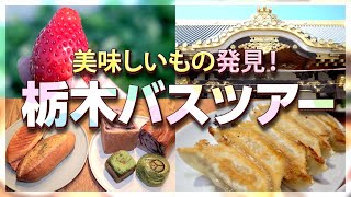 【栃木日帰りバスツアー】いちご狩りに宇都宮餃子てんこ盛り旅行に参加してみた／グルメ／夫婦