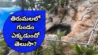 శంఖు తీర్థం 🛕శంఖు మిట్ట ప్రాంతం 📢 తిరుమల ▶️ హాస్పిటల్ 🏥 పార్క్ 🏞️