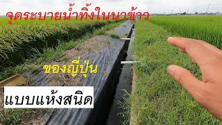 จุดระบายน้ำทิ้งในนาข้าวญี่ปุ่น แบบแห้งสนิด