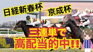 【日経新春杯】３連単で高配当馬券的中しました！！【京成杯】