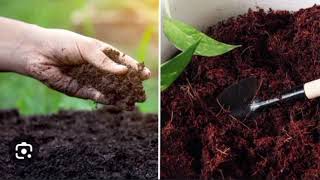 बहुत काम के हैं केंचुए [Earthworms – Vital for soil and plant healt.. || #agriculturesupervisor