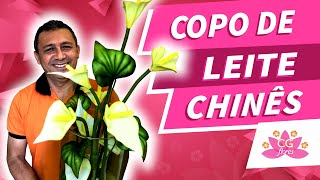 ARRANJO COM A FLOR COPO DE LEITE CHINÊS | PASSO A PASSO