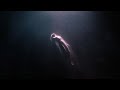 Nuveghost - Floating In The Void