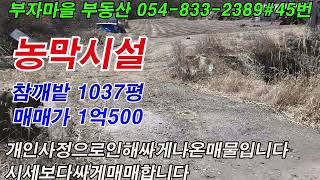 시퀀스 02 4 #매물 45번   경북 의성군 단촌면 농막시설포함 토지1037평 매매가 1억 500 만원 #의성농막시설#의성주말농장#경북부동산#의성부동산#영천