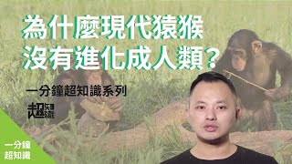 【 一分鐘大挑戰】為什麼現代猿猴沒有進化成人類？｜一分鐘超知識07