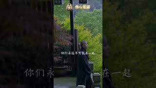 風雨人生路 你陪我一程 我念你一生 #佛心慧語 #哲理名言 #佛學智慧