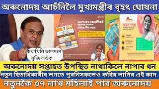 Orunodoi scheme new update // Orunodoi asoni big news // orunodoi 3.o New apply for Assam