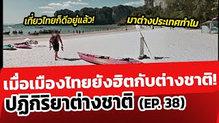 ปฏิกิริยาชาวต่างชาติ EP.38 เมื่อเมืองไทยยังคงฮิตกับชาวต่างชาติ!! ส่องคอมเมนต์ชาวโลก