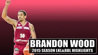 Brandon Wood 2015 Season LKL \u0026 BBL Highlights