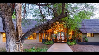 Thornybush Game Lodge