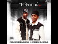 Nandipha808 & Ceeka RSA - Forgive Our Trespassers (Official Audio) ft. Dalom