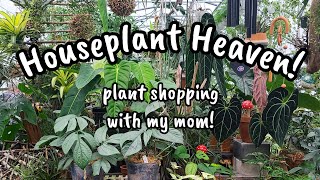 HOUSEPLANT HEAVEN!! 😍 Plant Shopping at Shakespeare's Garden in Brookfield, CT with my Mama 🩷 🌿