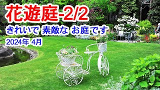 【花遊庭-2/2】NHK 趣味の園芸でおなじみの花遊庭(かゆうてい)です。きれいなお花がいっぱいのお庭に今回も訪れました。2024年4月29日