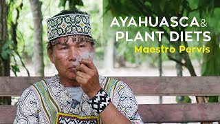 Interview with Maestro Shipibo Pervis Urquia - Ayahuasca \u0026 Plant Diet (Dieta)