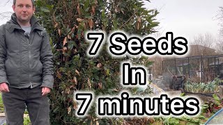 Ep 19 🌱 Seven seeds in seven minutes to grow in January