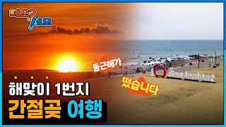 223회 [네모세모; 네가 모르는 세상의 모든 정보]