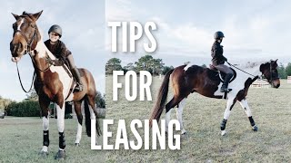 WHAT YOU NEED TO LEASE A HORSE