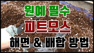 피트모스 해면방법 및 블루베리 전용 토양 배합 방법 알려드립니다. Blueberry-only Soil Creation!