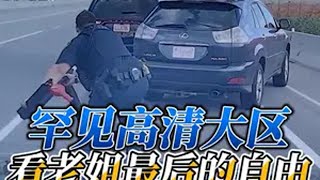 冷门大区配上邪门老姐，看看谁的头更铁美国警察追车 美国警察执法 最后的自由