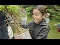 Scientist led tree planting in Greenland Tajikistan and Denmark