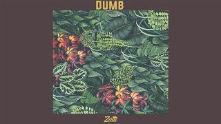 [FREE] Zatti - Dumb | DaBaby x Drake Type Beat | Instrumental Beat