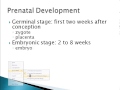 Psychology 101: Prenatal Development