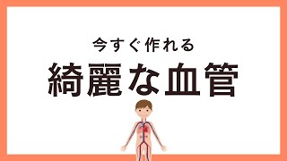 血管をきれいにする食べ物を国際薬膳師が解説