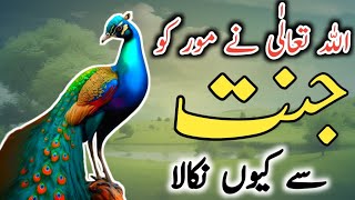 Mor Ko Jannat Se Kiyon Nikala Gaya | Sanap or Mor Ko Jannat Se | Islamic Waqia In Urdu | Suno Islam