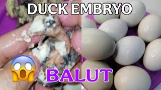 🔴ASMR Balut Duck Embryo EXOTIC DELICACY ep.22