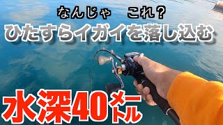 『チヌ釣り遠征』水深40mでひたすらイガイを落し込む