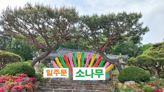 영축산 옥련암