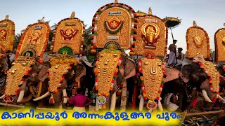 Kanippayur Annamkulangara Pooram|കാണിപ്പയൂർ പൂരം