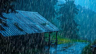 伴着雨声入眠，平静心情，告别压力 - 大雨和雷声上面 夜间树林中的旧 农舍屋顶 - Rain sounds for sleeping