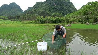 小水沟里面藏了好多鱼，小伙用大网抓到了几十条鱼，抓鱼真过瘾