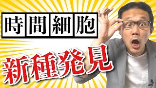 179.【新種発見】時間をつくり出す脳細胞《時間細胞》時間が流れてるのは頭の中だけだった。　#ロボマインド・プロジェクト