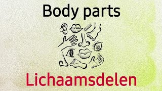 body parts in english and dutch/lichaamsdelen in het nederlands en engels/اعضای بدن به انگلیسی هلندی