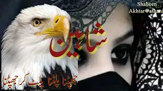 علامہ اقبال کی شاعری 🦅 جھپٹنا پلٹنا پلٹ کر جھپٹنا 🦅لہو گرم رکھنے کا ہے اک بہانہ