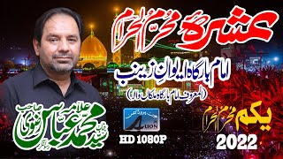 Live Ashra e Muharram ul Haram 1444 Hijri 2022  |  Allama Muhammad Abbas Rizvi | 1st Muharram 1444