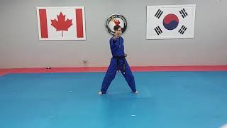 Green belt - 10 Basic Motion(Mirror Mode)
