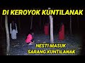 🔴DI KER0Y0K KUNTILANAK MERAH