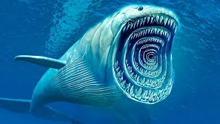 100 Biggest Ocean Creatures of All Time