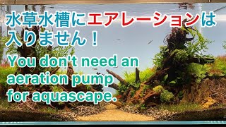 エアレーションを使わず酸素濃度を高くする方法［Method without aeration pump］【アクアリウム】【aquarium】