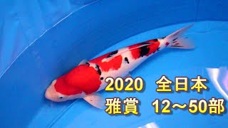 2020全日本総合　雅賞12～50部