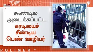 தன்னைச் சீண்டிய பெண்ணின் கையை பழுப்புக் கரடி கடித்து துண்டித்தது