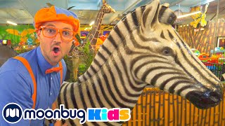 Blippi Explores Jungle Animals! @Blippi | Jurassic TV | Moonbug Kids