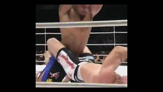 MMA Fight 40 mma knockouts