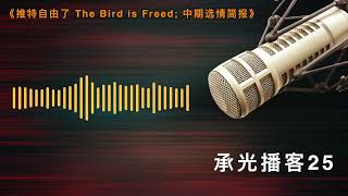 《推特自由了 The Bird is Freed; 中期选情简报》｜承光播客25