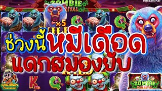 (Zombie Carnival│หมีกินสมองPP) หมีเดือด แดกสมองยับ (สล็อตค่าย PP)(Pragmatic Play)