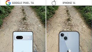 Google Pixel 7A vs iPhone 14: Camera Comparison (Daylight)